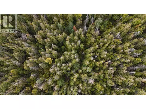 Sorrento, BC V0E2W1,Huatala Road Lot# LS 10/15