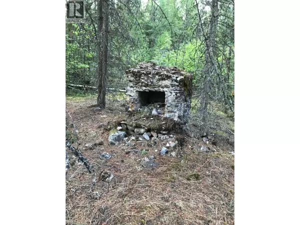 Renata, BC V1N4V8,Parcel B RENATA FORESTRY Road