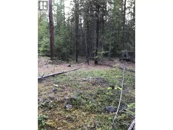 Renata, BC V1N4V8,Parcel B RENATA FORESTRY Road