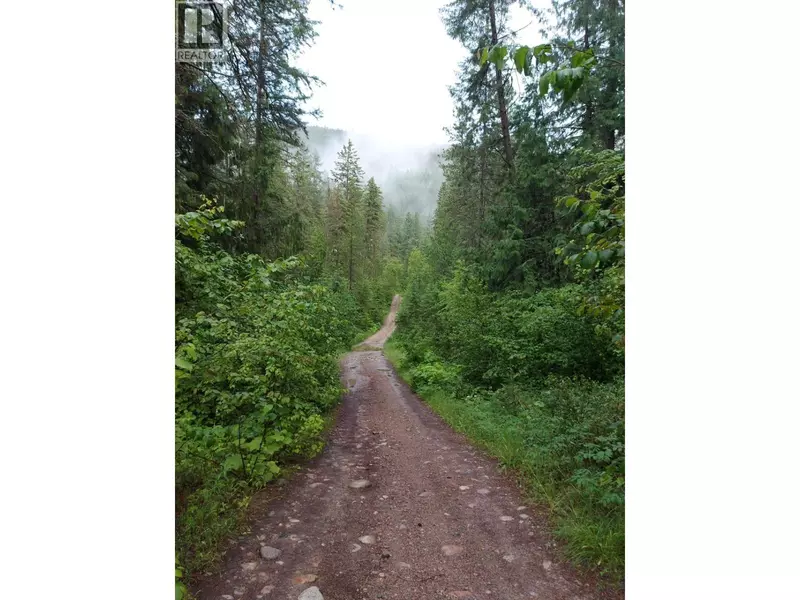 Parcel B RENATA FORESTRY Road, Renata, BC V1N4V8