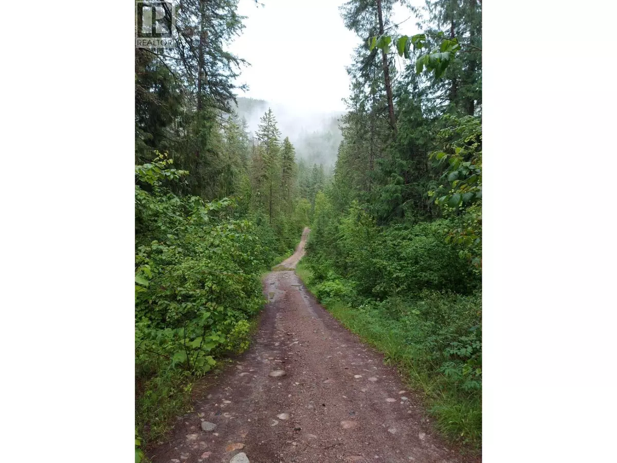 Renata, BC V1N4V8,Parcel B RENATA FORESTRY Road