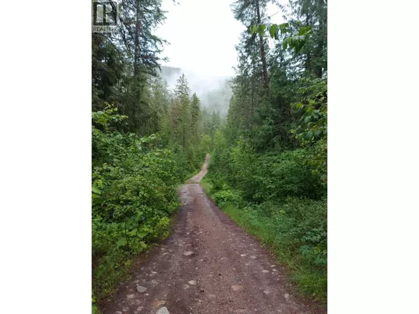 Parcel B RENATA FORESTRY Road, Renata, BC V1N4V8