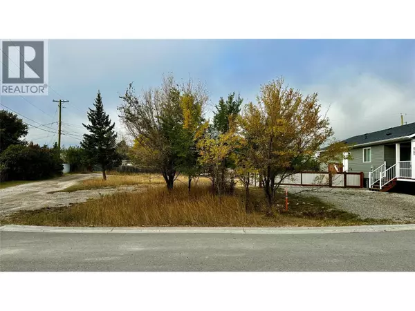8787 Mountain View Street, Canal Flats, BC V0B1B0