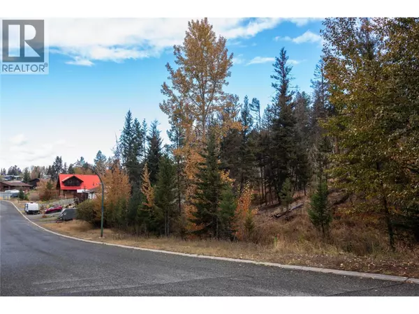 Logan Lake, BC V0K1W0,339 POPLAR Drive