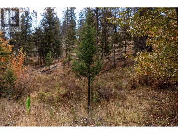 Logan Lake, BC V0K1W0,339 POPLAR Drive