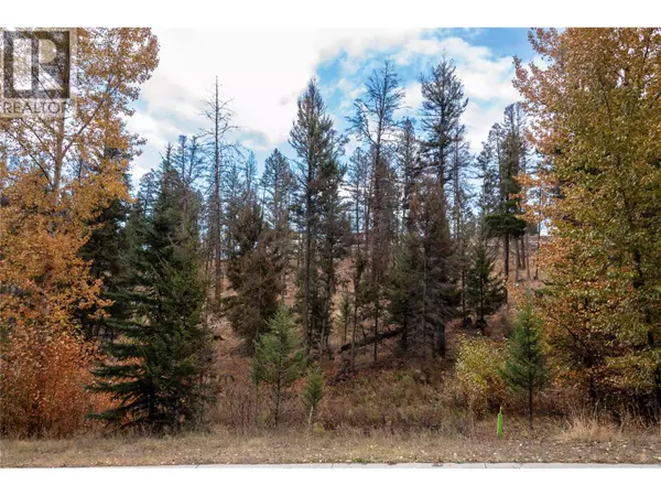 Logan Lake, BC V0K1W0,339 POPLAR Drive