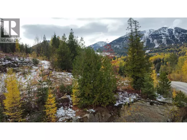 Rossland, BC V0G1Y0,Lot C RICHIE Road