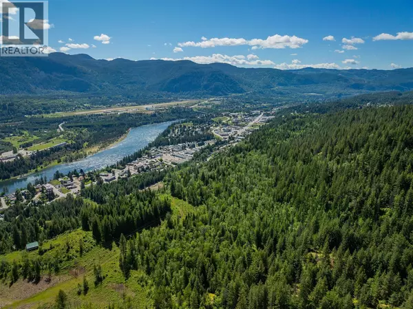 Castlegar, BC V1N4J4,1402 Woodland Drive