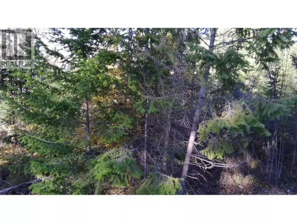 Fairmont Hot Springs, BC V0B1L1,5185 Hot Springs Road