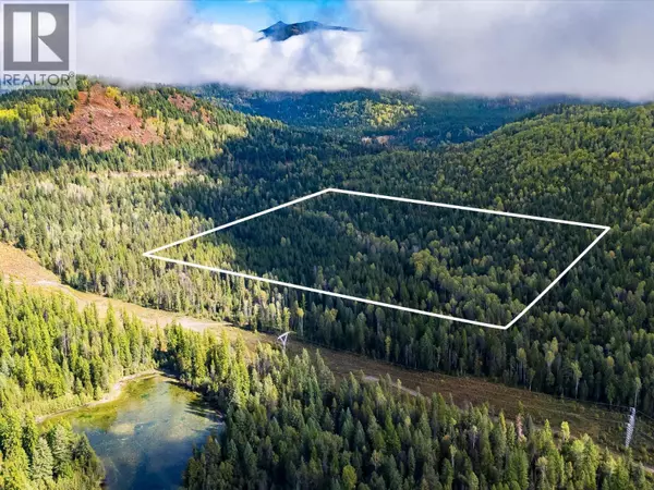 1041 Rosebud Lake Road, Nelway, BC V0G1Z0