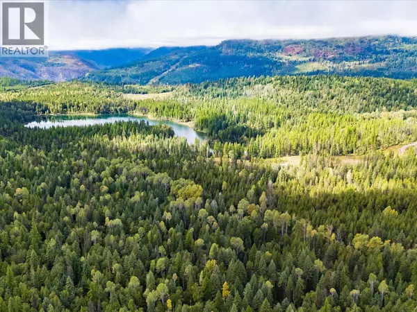 Nelway, BC V0G1Z0,1041 Rosebud Lake Road