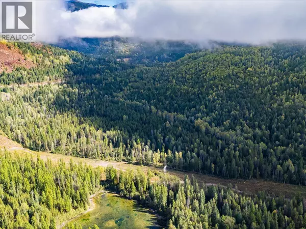 Nelway, BC V0G1Z0,1041 Rosebud Lake Road