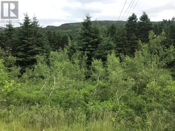 North River, NL A0A3C0,0 Snows Lane Road