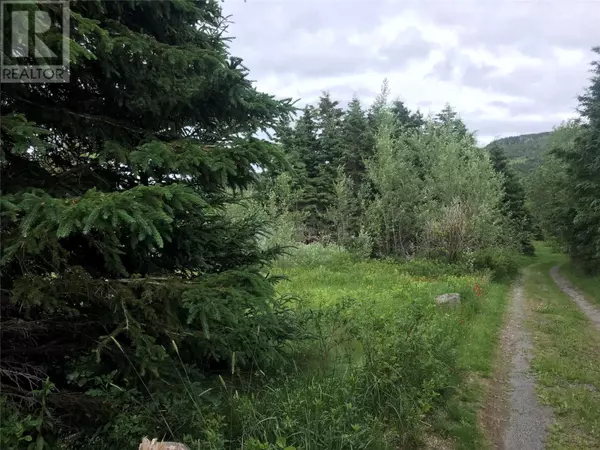 North River, NL A0A3C0,0 Snows Lane Road