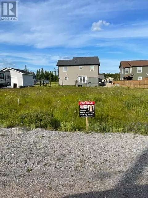Deer Lake, NL A8A0B6,46 Grace Avenue