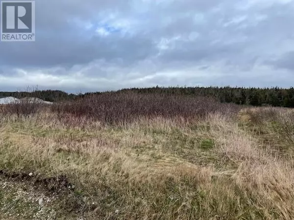 LOT 146 FRONT Road, Port Au Port West, NL A0N1T0