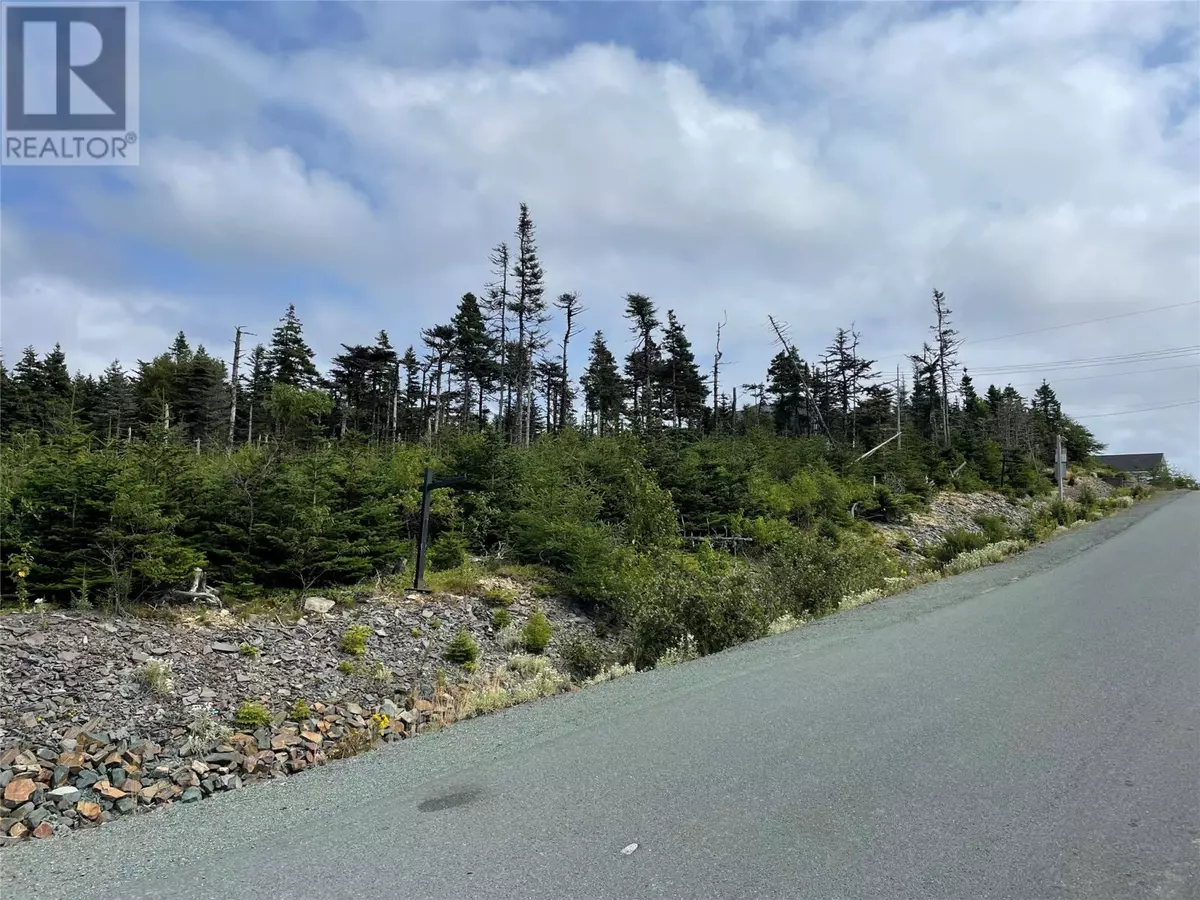 Middle Cove, NL A1K0J6,8 Killick Drive