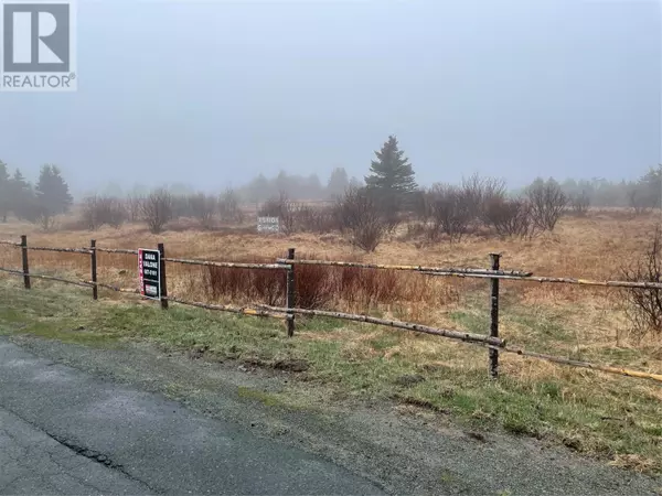 Bell Island, NL A0A1H0,60-62 Murphy’s Lane