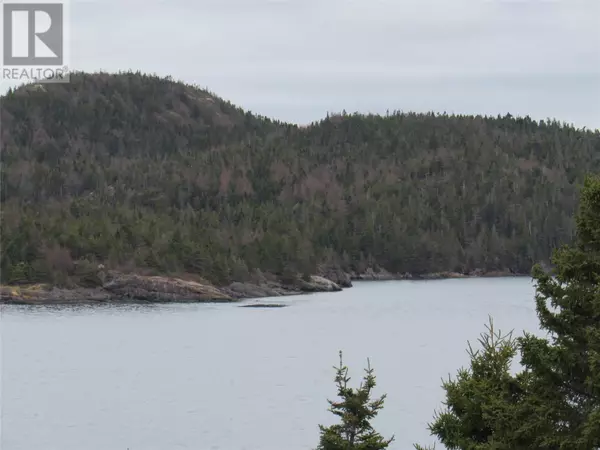 Avondale, NL A0A1B0,0-A Bally Hack Cove