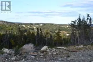 Burnt Cove, NL A0A1P0,10 Burnt Cove Road