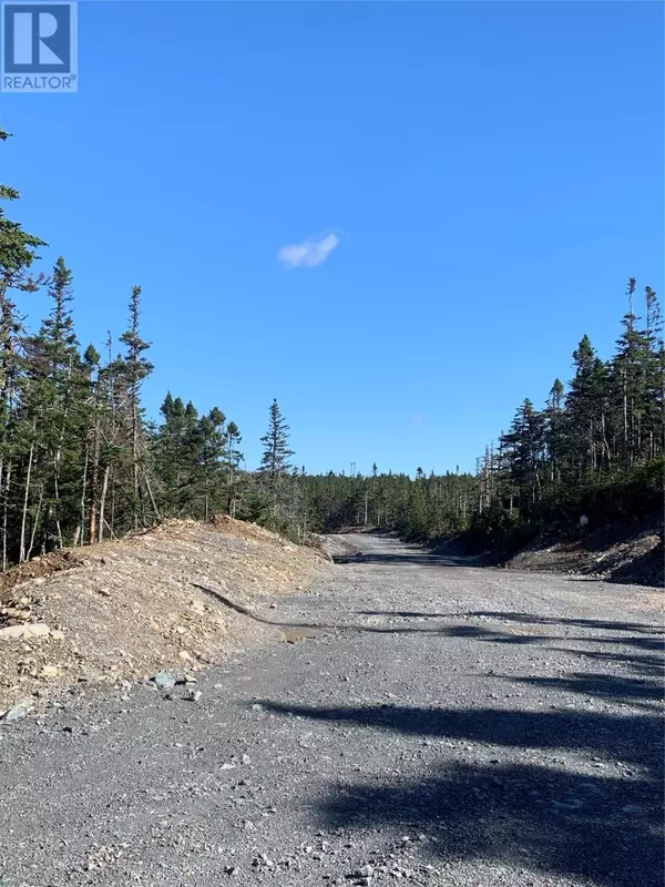 Brigus Junction, NL A0B1G0,Lot 25 Halleran Trail