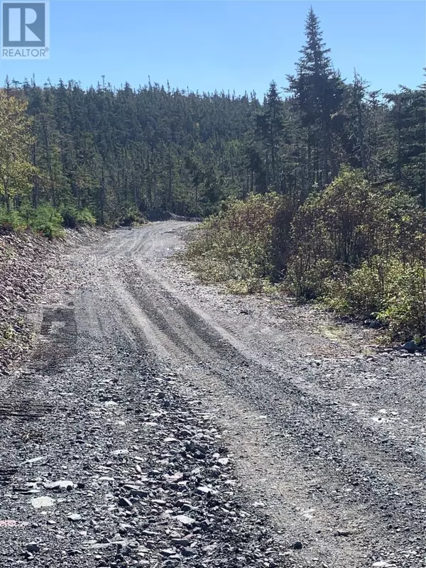 Brigus Junction, NL A0B1G0,Lot 25 Halleran Trail