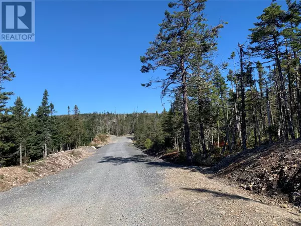 Brigus Junction, NL A0B1G0,Lot 28 Halleran Trail