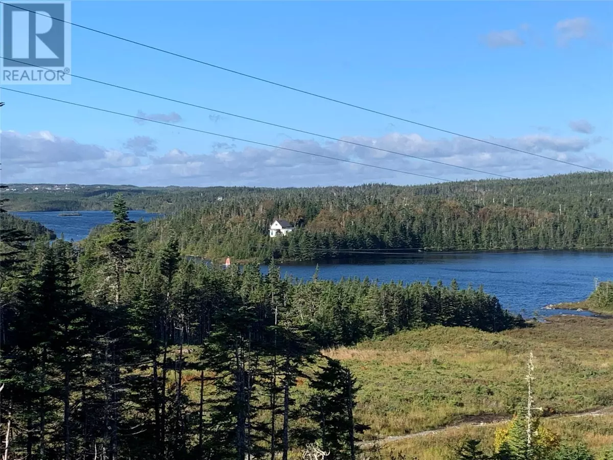 Brigus Junction, NL A0B1G0,Lot 28 Halleran Trail