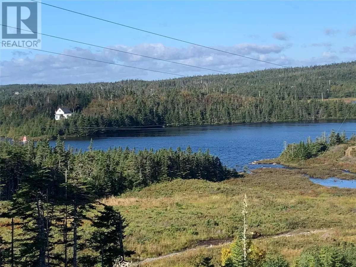 Brigus Junction, NL A0B1G0,LOT 4 Halleran Trail