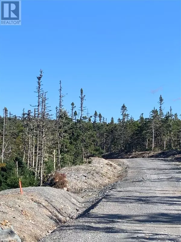 Brigus Junction, NL A0B1G0,LOT 6 Halleran Trail