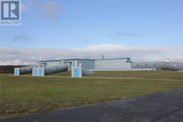 225 Carolina Avenue, Stephenville, NL A2N2Y2