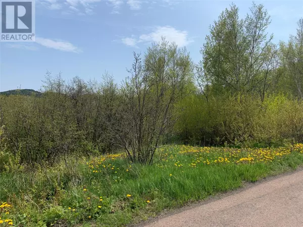 Embree, NL A0G2A0,2 Pond Road
