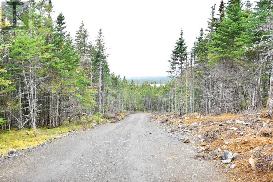 Lot 3 Second Pond Road, Shearstown / Butlerville, NL A0A1G0