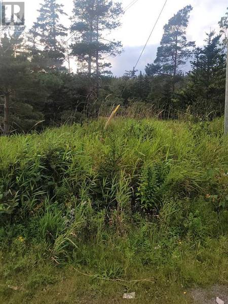 86 Conception Bay HWY #Lot 1, Holyrood, NL A0A2R0