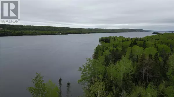 Norris Arm North, NL A0G3N0,49 Main Road