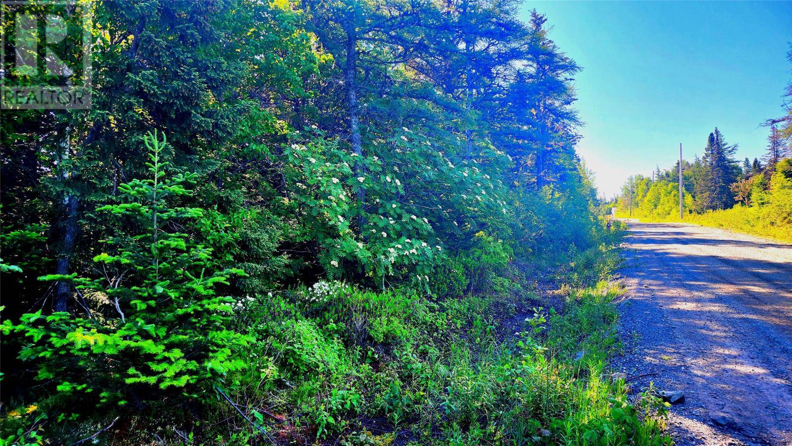 Eastport, NL A0G1Z0,11 Yetmans Lane