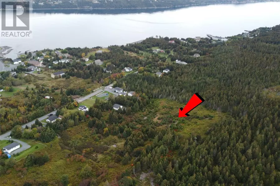 16 Salmon Cove Road, South River, NL A0A3X0