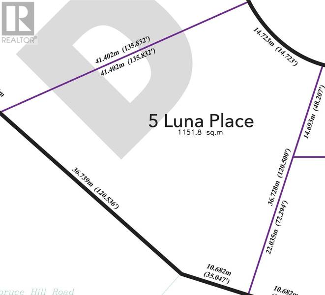 5 Luna Place, Conception Bay South, NL A1W5P3