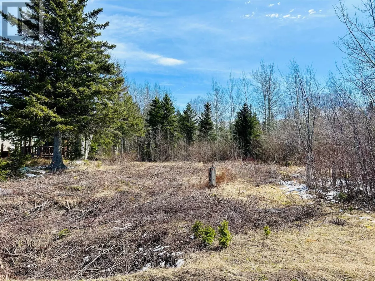 Point Leamington, NL,56 Pleasantview Road