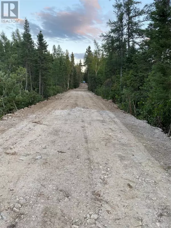 Norris Arm, NL A0H1C0,Lot #2 Sandy Point Road