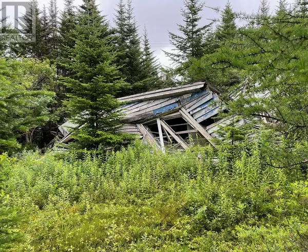 Holyrood, NL,0 Salmonier Line