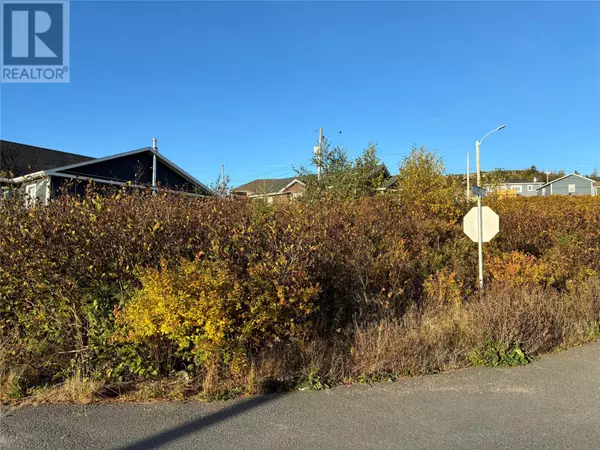 53 Badcock Boulevard, Bay Roberts, NL A0A1G0