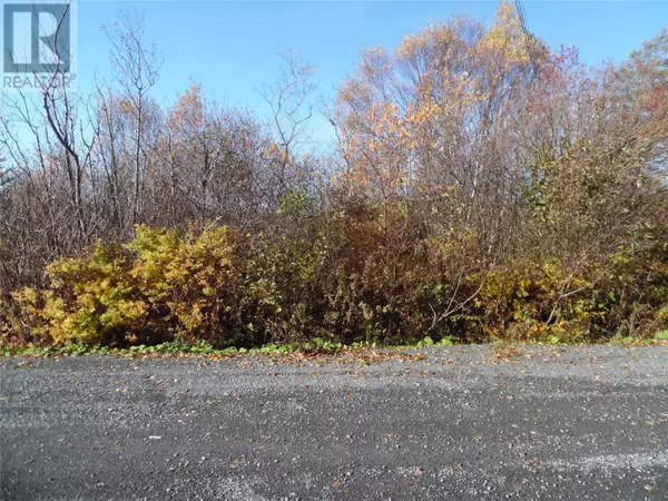Clarenville, NL A5A4C9,10 Beach Road