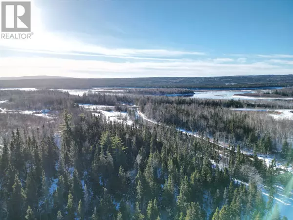 Grand Falls Windsor, NL A2B1K1,0 Trans Canada (Leech Brook) Highway