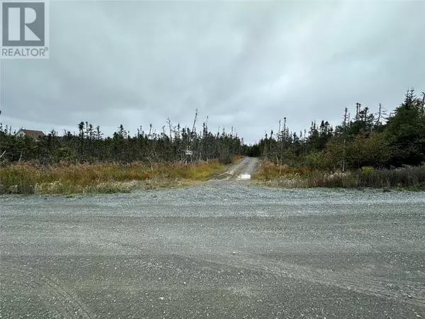 Brigus Junction, NL A0B1G0,65 Connors Cove Road