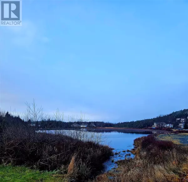 Spaniards Bay, NL A0A3X0,10-12 Rocky Pond Road