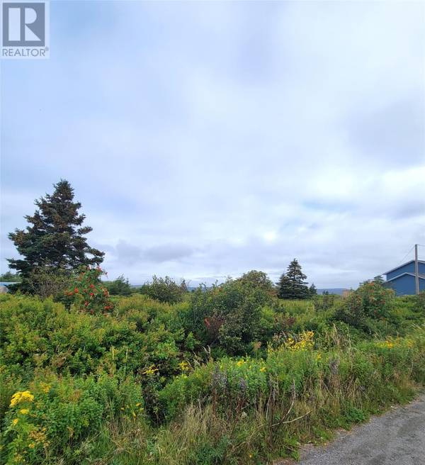 70A CENTRAL Street, Bay Roberts, NL A0A1G0