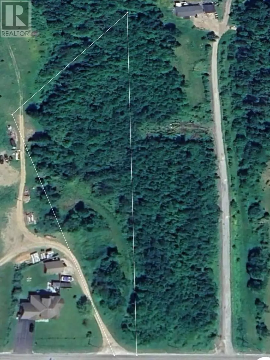 Deer Lake, NL A8A3H7,98 Goose Arm Road