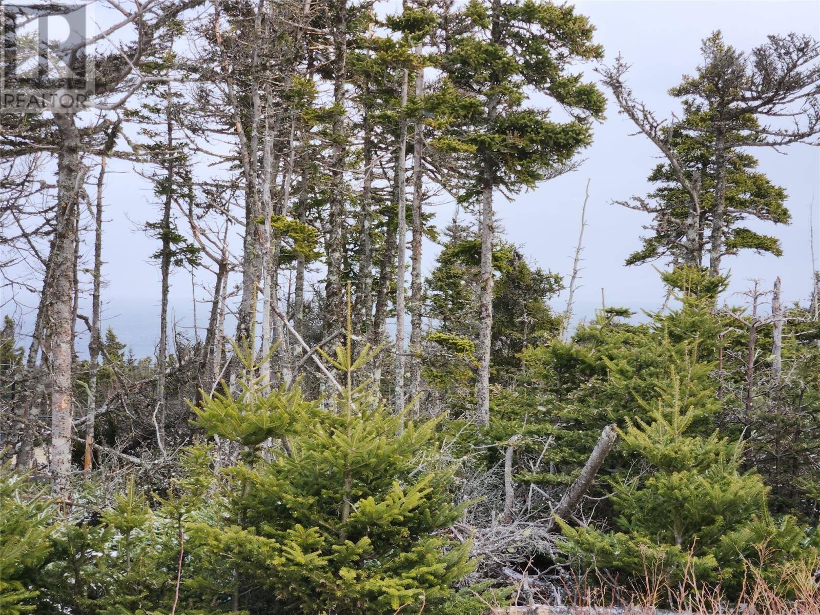 Logy Bay Middle Cove Outer Cove, NL A1K2A1,8 Silver Head Way