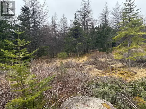 Holyrood, NL A0A2R0,11 North Side Road